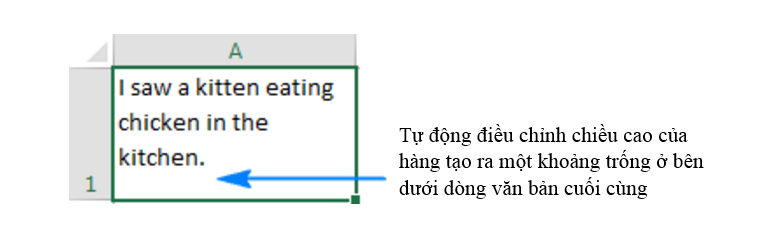  Sử dụng AutoFit để điều chỉnh tự động độ rộng cột và hàng phù hợp với dữ liệu 