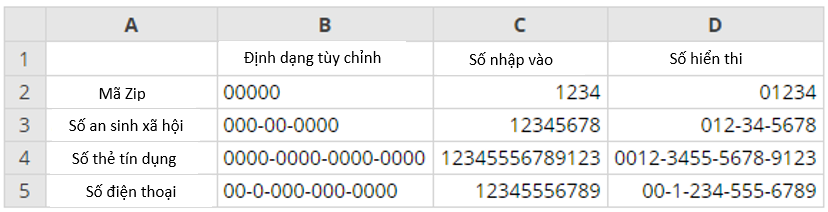 mot-so-ma-dinh-dang-so-tuy-chinh