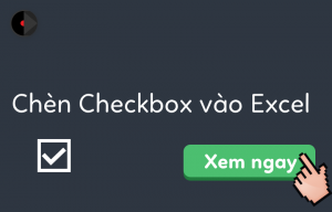 chen-checkbox-vao-excel
