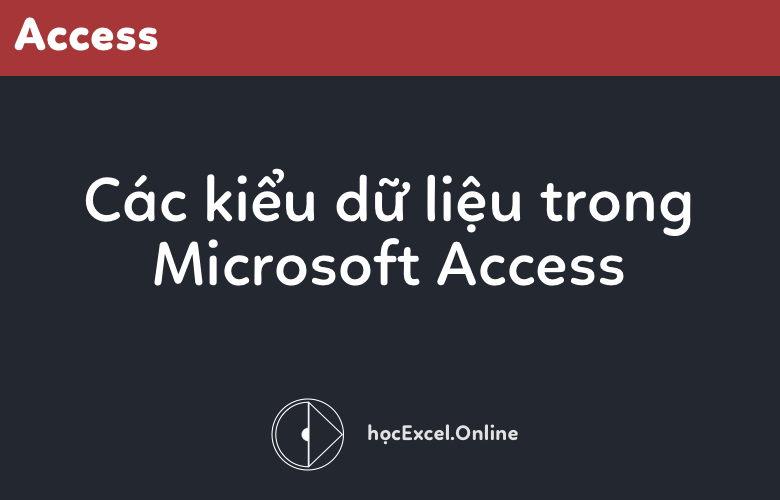 Trường có kiểu dữ liệu số trong Access có thể lưu trữ được những giá trị nào?
