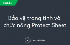 Bảo vệ trang tính với chức năng Protect Sheet