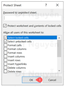 Cửa sổ thiết lập Protect Sheet
